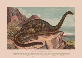 Illusztráció Brontosaurus excelsus, Late Jurassic epoch, chromolithograph,, ZU_09