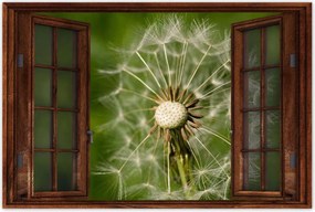 Poszterek 60x40 Pitypang Virág Virágok