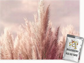 Fotótapéta Búza Rózsaszín Természet 3D Falra Hálószoba Nappali 300x210