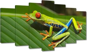 Vászonkép 140x80 Béka Fogó Béka