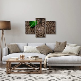 Kép egy levél a fatörzsön (90x60 cm)