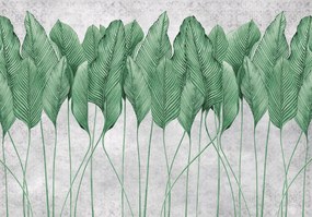 Fotótapéta 3D hatás Levelek pálma virágok 368 x 254