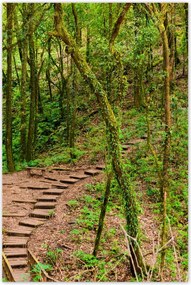 Poszterek 60x90 Gyalogtúra