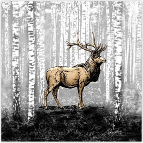Poszterek 140x140 Szarvas Nyírfa Erdő