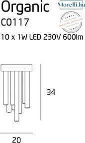 Mennyezeti Lámpa Króm ORGANIC MAXLIGHT C0117D