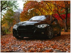 Poszterek 135x100 Fekete Bmw Ősz