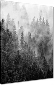 Vászonkép 60x80 Tájkép Szürke Hegyek Köd