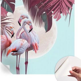 Dekoratív Öntapadós Tapéta Divatos Minták Egzotikus madarak 250x250 cm