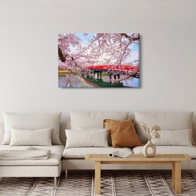 Kép - Hirosaki, Japán (90x60 cm)