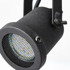 Brilliant - Spotlámpa INGE 2xGU10/6W/230V fenyő