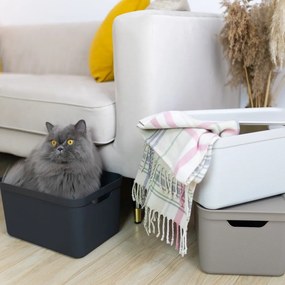 Műanyag tárolódoboz fedéllel Deco - Rotho