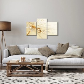 Kép - Makro fotó pitypangról (90x60 cm)