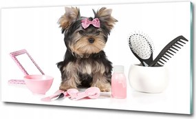 Fotó-üvegkép Yorkshire kozmetikum 100x70