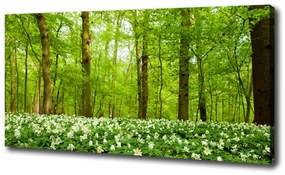 Vászon nyomtatás Virágok az erdőben oc-83235444