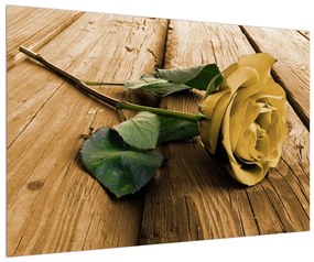 Rózsa kép (90x60 cm)