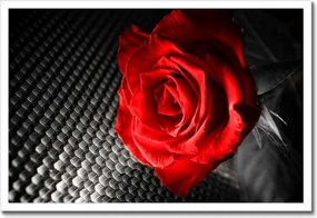 Poszterek keretben 60x40 Piros a szürke között