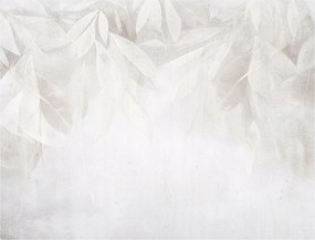 Fotótapéta Finom tollak Absztrakt nyugalom éteri 416x290 +ragasztó