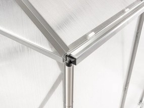 Polikarbonát üvegház 250 x 310 x 124/205 cm