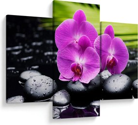 Kép - Orchideák (90x60 cm)