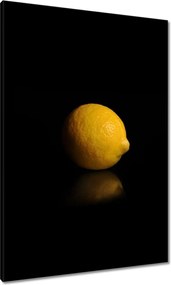 Vászonkép 70x100 Citromsárga