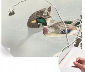 Dekoratív öntapadós fotótapéta irodába Békés kacsák 208x146 cm