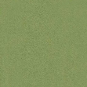 világoszöld bársonyszék falábakkal