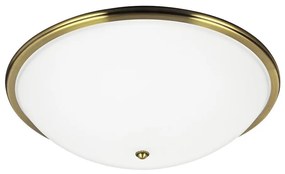 Mennyezeti lámpa VIOLA 3xE27/40W/230V