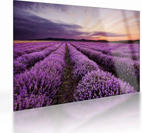 Üveg kép - Levendulamező naplementében (70x50 cm)