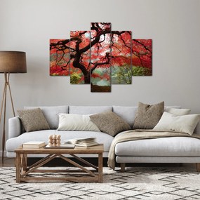 Red Japanese Maple, Portland, Oregon képe (150x105 cm)