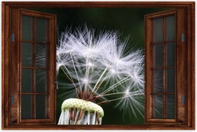 Poszterek 90x60 Pitypang Virág Virágok