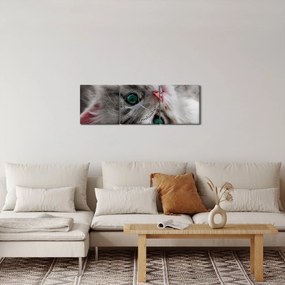 Kép - Macska zöld szemekkel (órával) (90x30 cm)