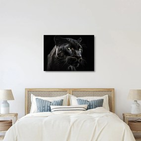 Üveg kép - Fekete Párduc (70x50 cm)