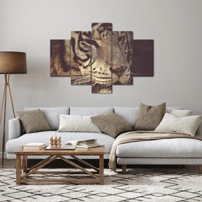 Tigris képe (150x105 cm)