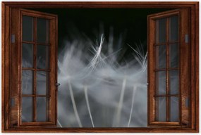 Poszterek 120x80 Pitypang Virág Virágok