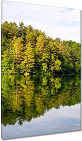 Vászonkép 80x120 Erdő Tó Felhők