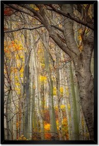 Poszterek keretben 40x60 Tájkép Látvány