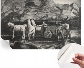 Öntapadós Dekoratív Fotótapéta Hálószobába Vidéki jelenet 416x254 cm