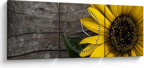 Kép - Napraforgó virága (órával) (90x30 cm)