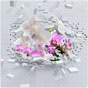 Poszterek 30x30 Orchidea a falon Virágok