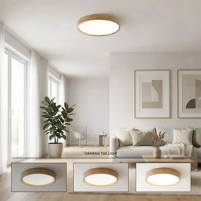 Brilagi - LED dimmelhető mennyezeti lámpa MANAROLA LED/36W/230V 3000–6500K átm. 51 cm + távirányító