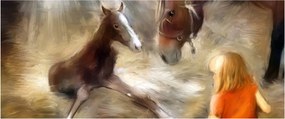 Kép - Üdvözöljük a világban, csikó (120x50 cm)