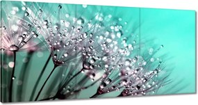 Vászonkép 180x90 Harmatcseppek Pitypang