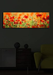 Vászonkép, 30×90 cm – TR239SHN1213