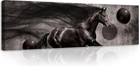 Kép 145x45 Ló futás ugrás sebesség erő kecsesség dinamika mozgás energia fekete