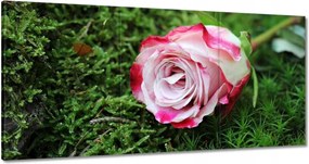Vászonkép 180x90 Rózsa Virág Virágok Rózsa