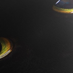 Kép - Macskaszemek (120x50 cm)