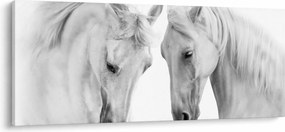 Fehér lovak képe (120x50 cm)