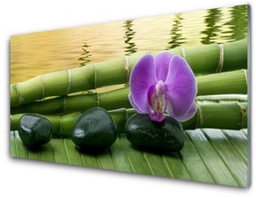 Akrilüveg fotó Virág Stones Bamboo Nature 120x60 cm 2 fogas