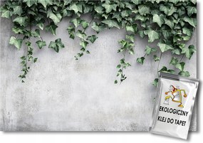 Fotótapéta Flizelina Fal Szürke Beton Kúszó Borostyán Levelek 300x210 ragasztó