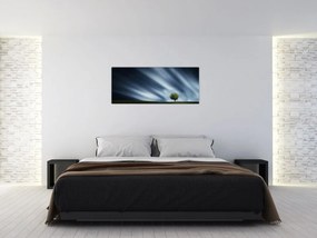 Az aurora borealis képe egy lápvidéken (120x50 cm)